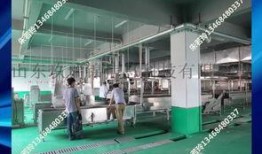 丸子加工爆料視頻,揭秘幕后制作過程與細節