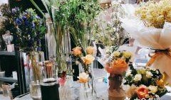 娛樂吃瓜醬花店,吃瓜醬花店背后的秘密花園