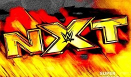 外媒爆料新進展最新消息,揭秘神秘事件背后真相