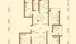 聯(lián)邦祥云國際最新爆料,揭秘神秘項(xiàng)目背后的驚人真相