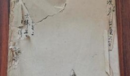 臨沂探店爆料視頻最新下載,網紅美食地圖更新，獨家爆料來襲！