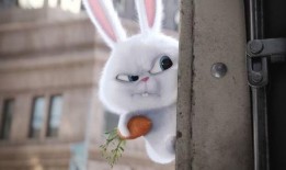 娛樂(lè)吃瓜小兔子小說(shuō),小兔子吃瓜記