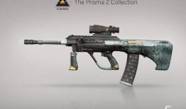 黑花武器箱最新爆料,神秘武器即將亮相，戰(zhàn)斗狂潮一觸即發(fā)！