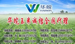 隆平高科最新爆料電話號,電話號碼揭秘行業新動態
