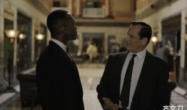 綠皮書演員爆料視頻大全,揭秘幕后故事與精彩瞬間