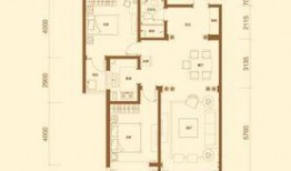 聯(lián)邦祥云國際最新爆料,揭秘神秘項(xiàng)目背后的驚人真相