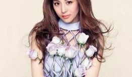 延慧娛樂八卦大爆料,揭秘娛樂圈不為人知的幕后故事