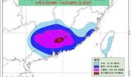 臺(tái)風(fēng)爆料最新情況,揭秘‘臺(tái)風(fēng)爆料最新情況！”