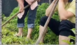 娛樂八卦是吃瓜群眾的,吃瓜群眾如何成為娛樂八卦的幕后推手