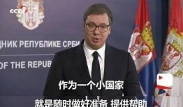 武契奇最近爆料了嗎視頻,揭秘視頻背后的驚人真相