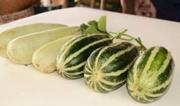 免費吃網紅瓜最新,免費品嘗背后的秘密與誘惑