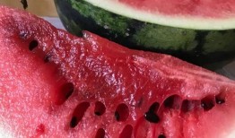 山南以北的瓜最新爆料,揭秘瓜王爭霸背后的秘密