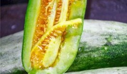 免費吃網紅瓜最新,免費品嘗背后的秘密與誘惑