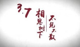 天涯最新爆料2017,揭秘當(dāng)年熱點事件背后的真相