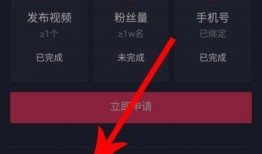 抖音視頻爆料箱怎么做,輕松制作熱門視頻的秘訣