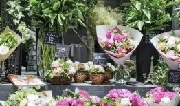 娛樂吃瓜醬花店,吃瓜醬花店背后的秘密花園