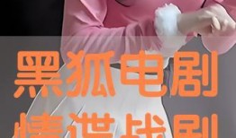 在線觀看黑狐,暗影特工的隱秘使命