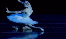 獨(dú)舞天鵝爆料了嗎視頻下載,揭秘幕后真相