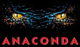 狂蟒之災(zāi)爆料視頻大全,揭秘驚悚視頻大全背后的真實事件