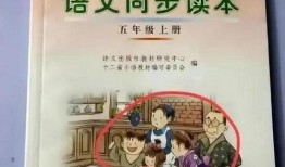 毒教材視頻爆料人,視頻爆料揭示教育亂象背后的真相