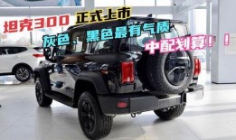 坦克300柴油最新爆料,性能與油耗雙提升，硬派越野新標(biāo)桿