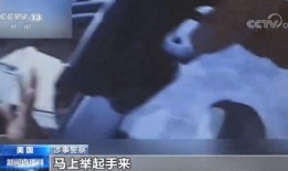 美媒最新爆料事件視頻,揭秘幕后真相