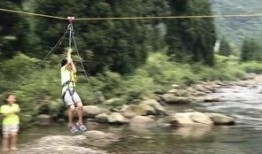 老林爆料知名教練視頻,老林獨家爆料，健身界風云再起