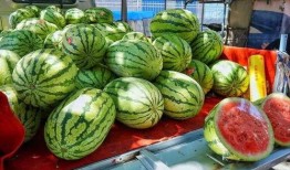 拉薩網(wǎng)紅吃瓜事件真相揭秘,真相與誤解的交織