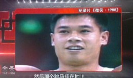 中國(guó)李寧爆料事件視頻完整版,完整視頻內(nèi)容深度解析