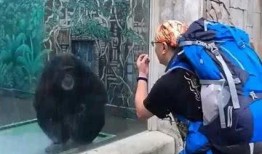 猴哥親戚爆料視頻大全,揭秘猴哥家族背后的故事與趣聞