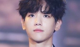 韓娛爆料邊伯賢視頻合集,星光璀璨的舞臺瞬間，獨家視頻合集回顧