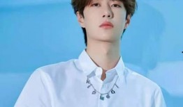 王一博最新吃瓜爆料結果,揭秘明星背后的真實故事