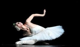 獨(dú)舞天鵝爆料了嗎視頻下載,揭秘幕后真相