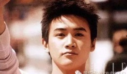 劉燁爆料小鮮肉了嗎視頻,小鮮肉背后的真實故事