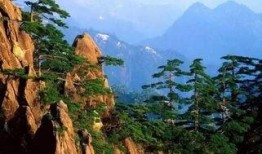 娛樂(lè)吃瓜君黃山,揭秘娛樂(lè)圈背后的那些事兒