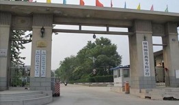 吳川學(xué)校爆料視頻大全集,揭秘校園風(fēng)云錄