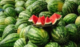 拉薩網(wǎng)紅吃瓜事件真相揭秘,真相與誤解的交織