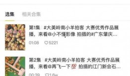 小樣爆料視頻,一窺幕后真相