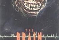 腦魔在線觀看,揭秘虛擬現(xiàn)實(shí)世界的神秘力量