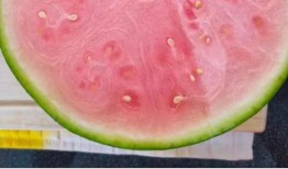 吃瓜網免費官網全球,全球熱點一網打盡，暢享無界限的娛樂盛宴