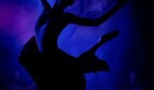 獨(dú)舞天鵝爆料了嗎視頻下載,揭秘幕后真相