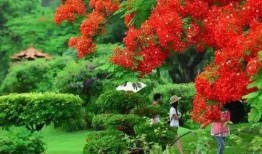 深圳木棉花爆料案件最新,揭開(kāi)娛樂(lè)圈潛規(guī)則黑幕