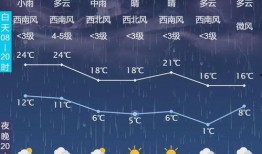 大風(fēng)新聞爆料最新消息視頻,最新爆料視頻揭秘事件真相