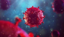 新冠病毒變異最新爆料