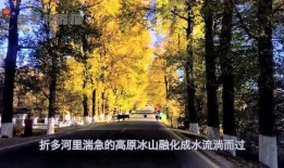 娛樂(lè)吃瓜君黃山,揭秘娛樂(lè)圈背后的那些事兒