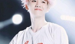 韓娛爆料邊伯賢視頻合集,星光璀璨的舞臺瞬間，獨家視頻合集回顧