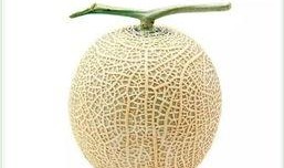 網紅吃瓜頭像插畫是誰