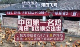 雞場老板爆料視頻大全播放,視頻大全揭秘養殖內幕