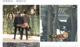 兩個人的爆料視頻大全集,視頻大全集深度解析